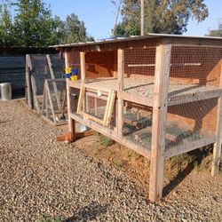 Chicken Coop 