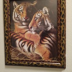 Wildlife  Wall Art 