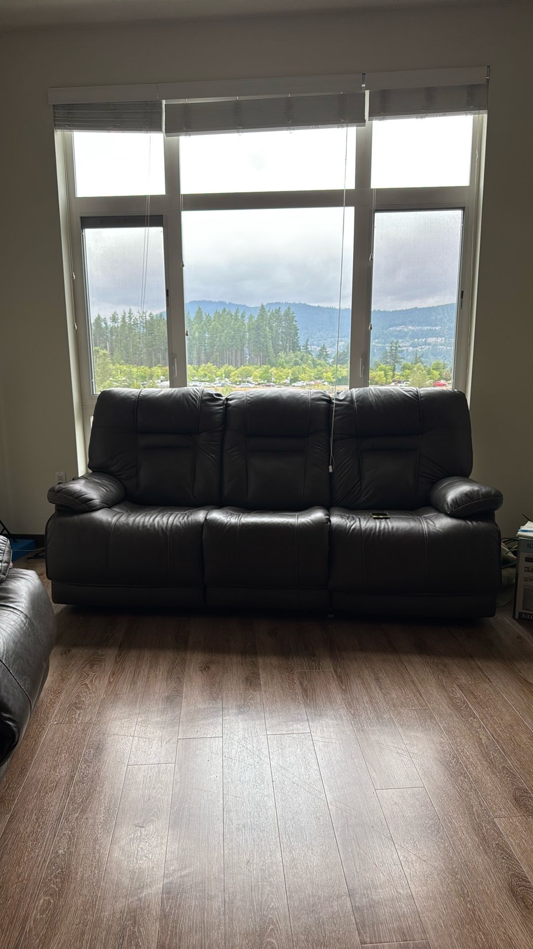 Leather Recliner 2 and 3 Seater Sofa (Move Out Sale)