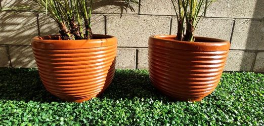 Terracotta 5 gallon planters 2 for $50 FREE DELIVERY IN SD