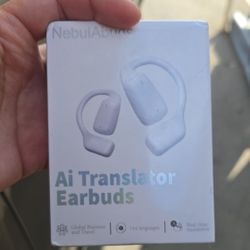 Ai Translator Earbuds 