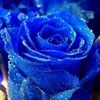 Nour