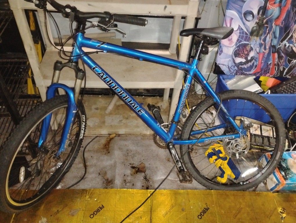 Canondale Multiple Speed MTN Bike