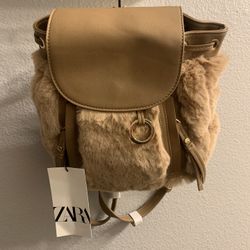 Zara Purse