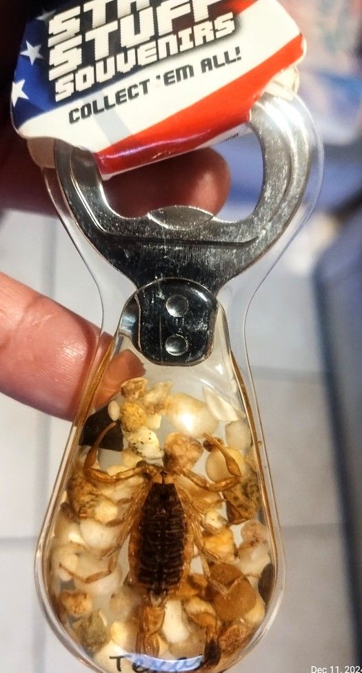 Bottle Opener Real Golden Scorpion
