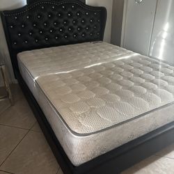 Queen Bed Frame Only 