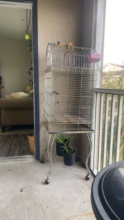 Bird Cage