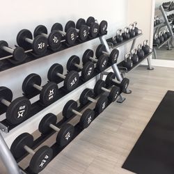 Workout  Equipment 