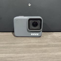 GoPro 7 With Mount dog Gear 