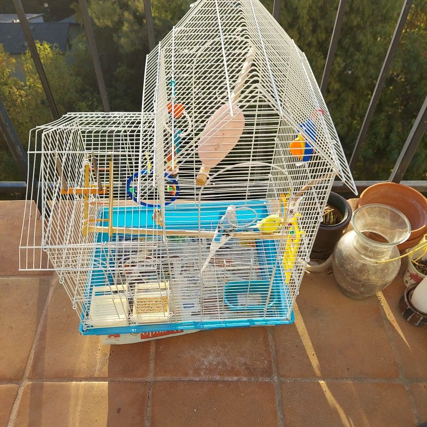 bird cage