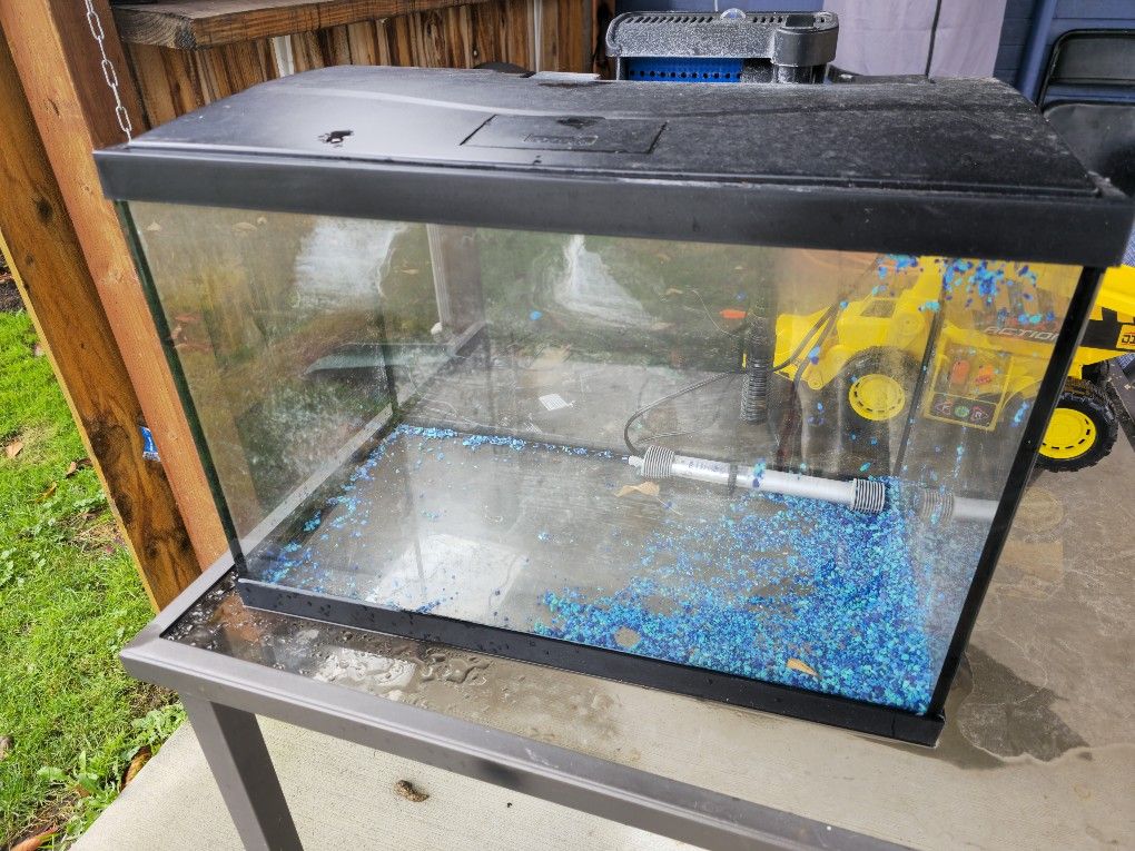20 Gallon Fish Tank