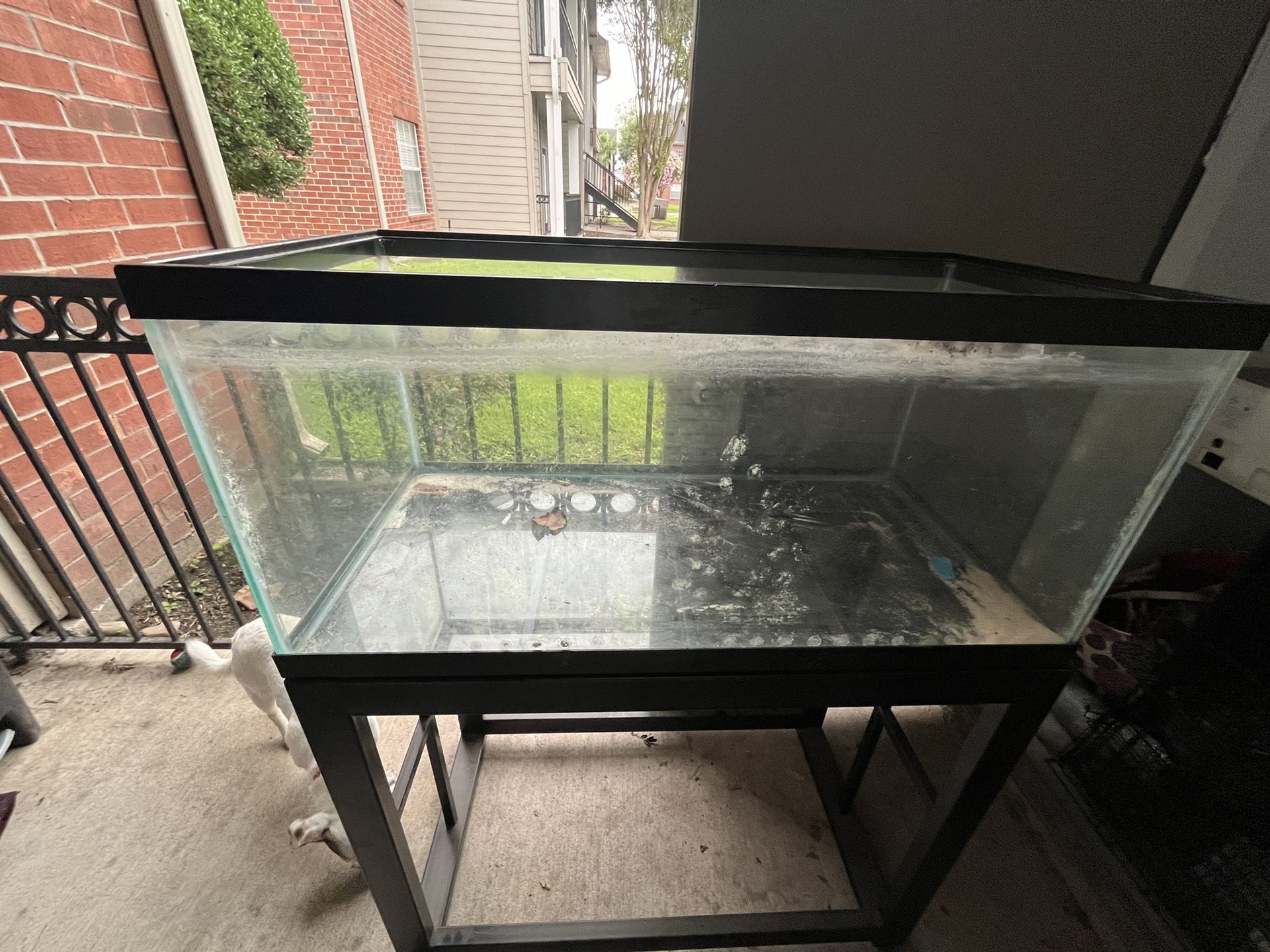 40 Gallon Fish Tank With Stand
