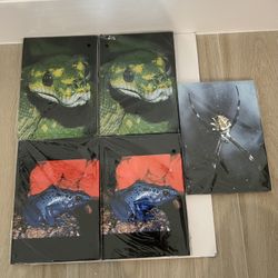 Lot of 5 New Reptile / Insect Journals