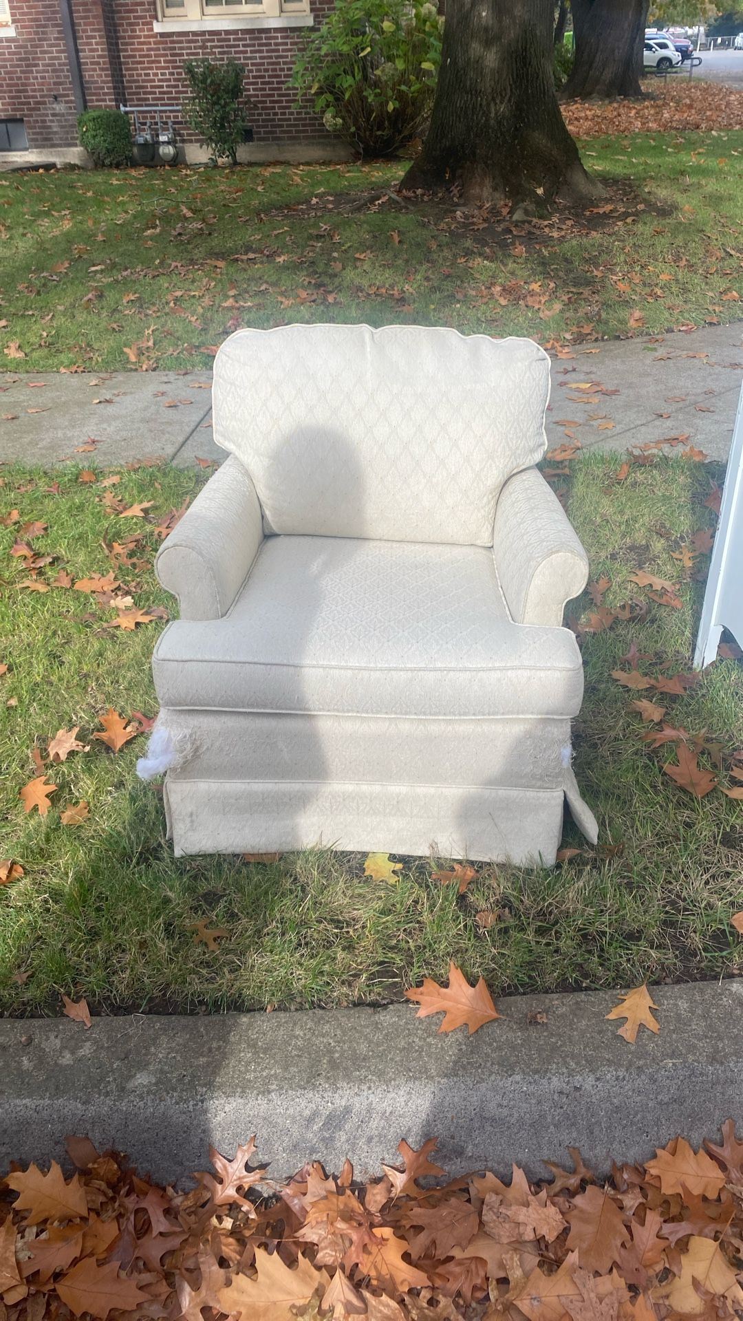 FREE CHAIR with Cat Damage 