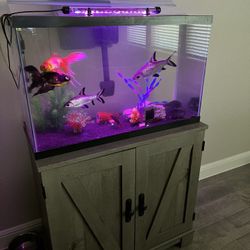 Fish Tank With Stand