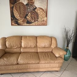 Free Leather Sofa bed 
