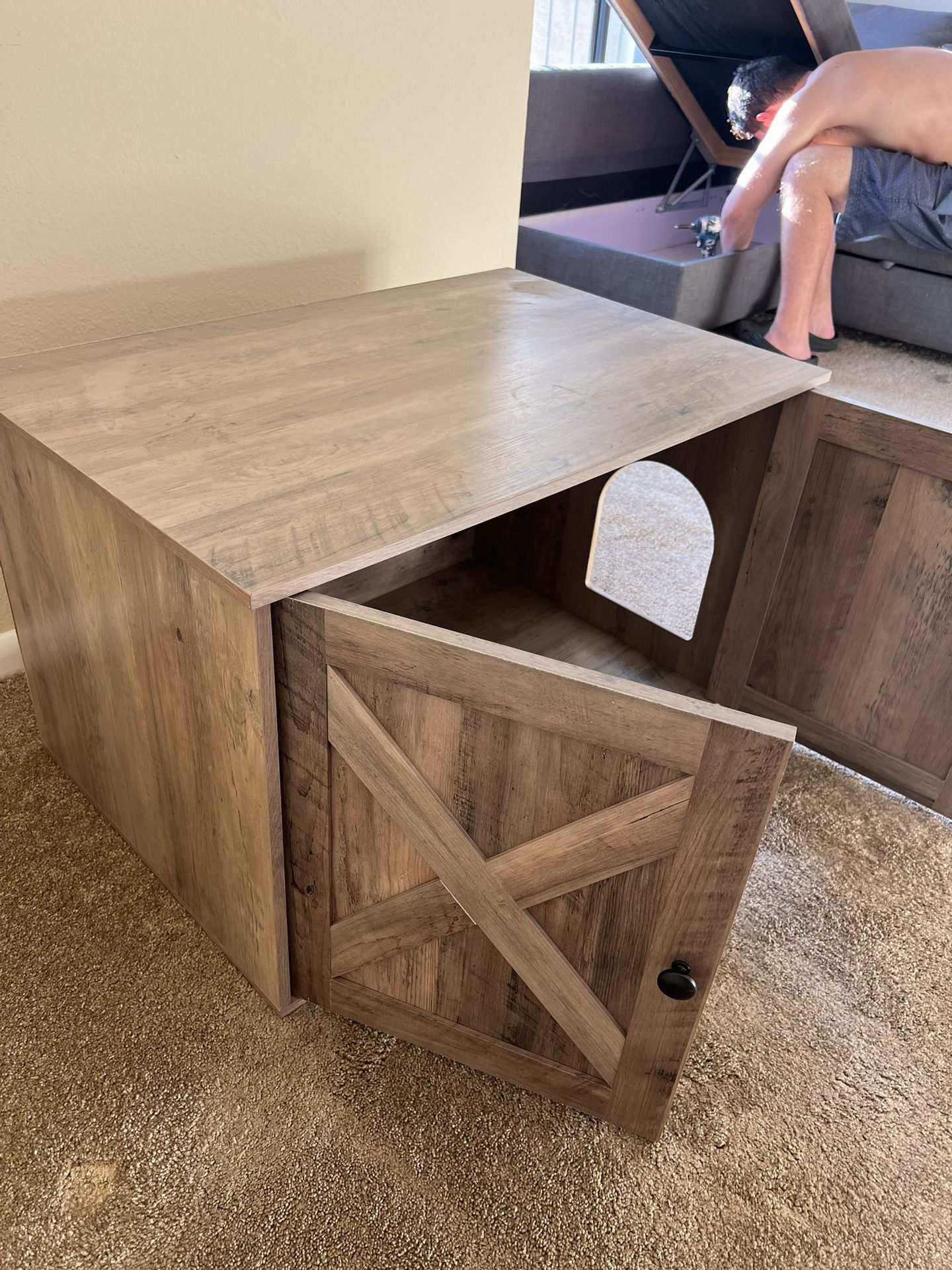 Like New Secret Litter Box TV Stand/Side Table for Sale in San Diego, CA OfferUp