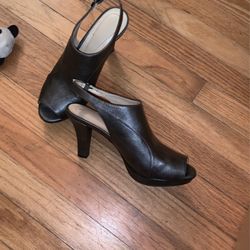 My Favorite Shoes I Never Wore.