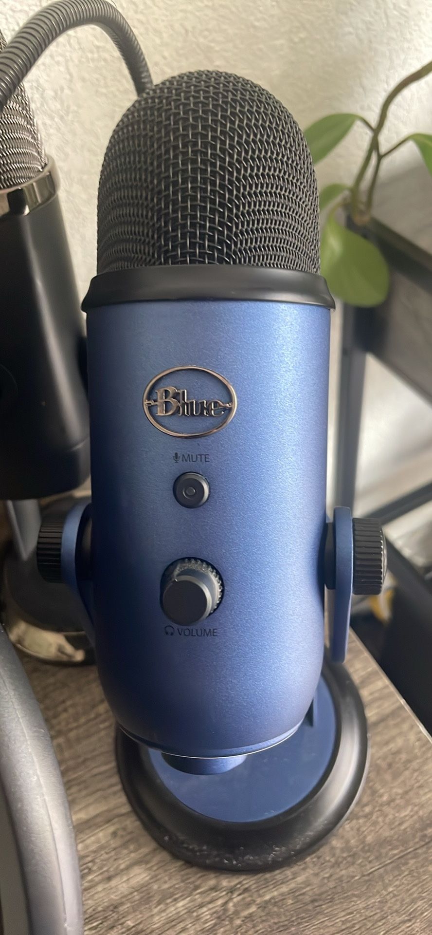 2 Blue Microphone And Sound Filter With Head Phones