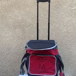 Ice pack with wheels and pull rod