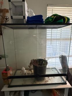 Reptile tanks
