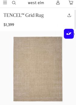 FREE West Elm Tencel Grid Rug 9x12 with Rug Pad