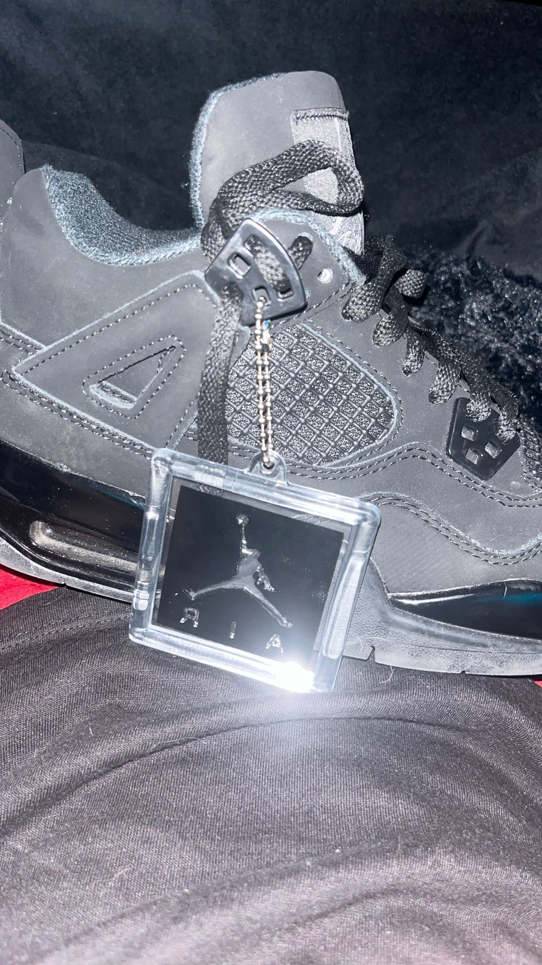 Air Jordan Black Cat 4