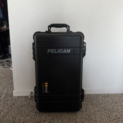 Pelican 1510 Case