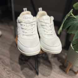 Sport Shoes