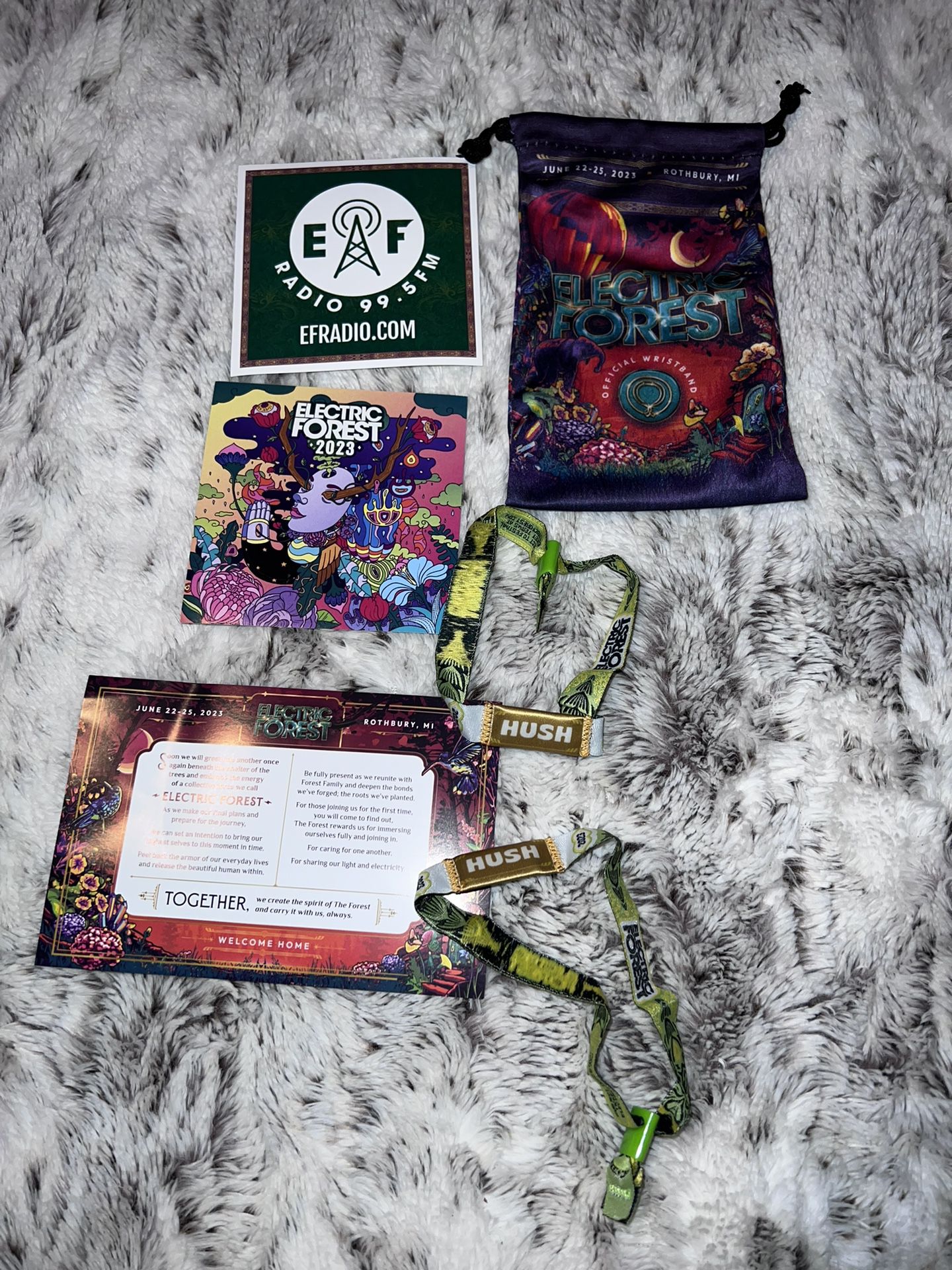 Electric Forest Tickets 4 Sale