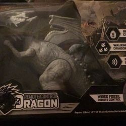 Remote Control Dragon