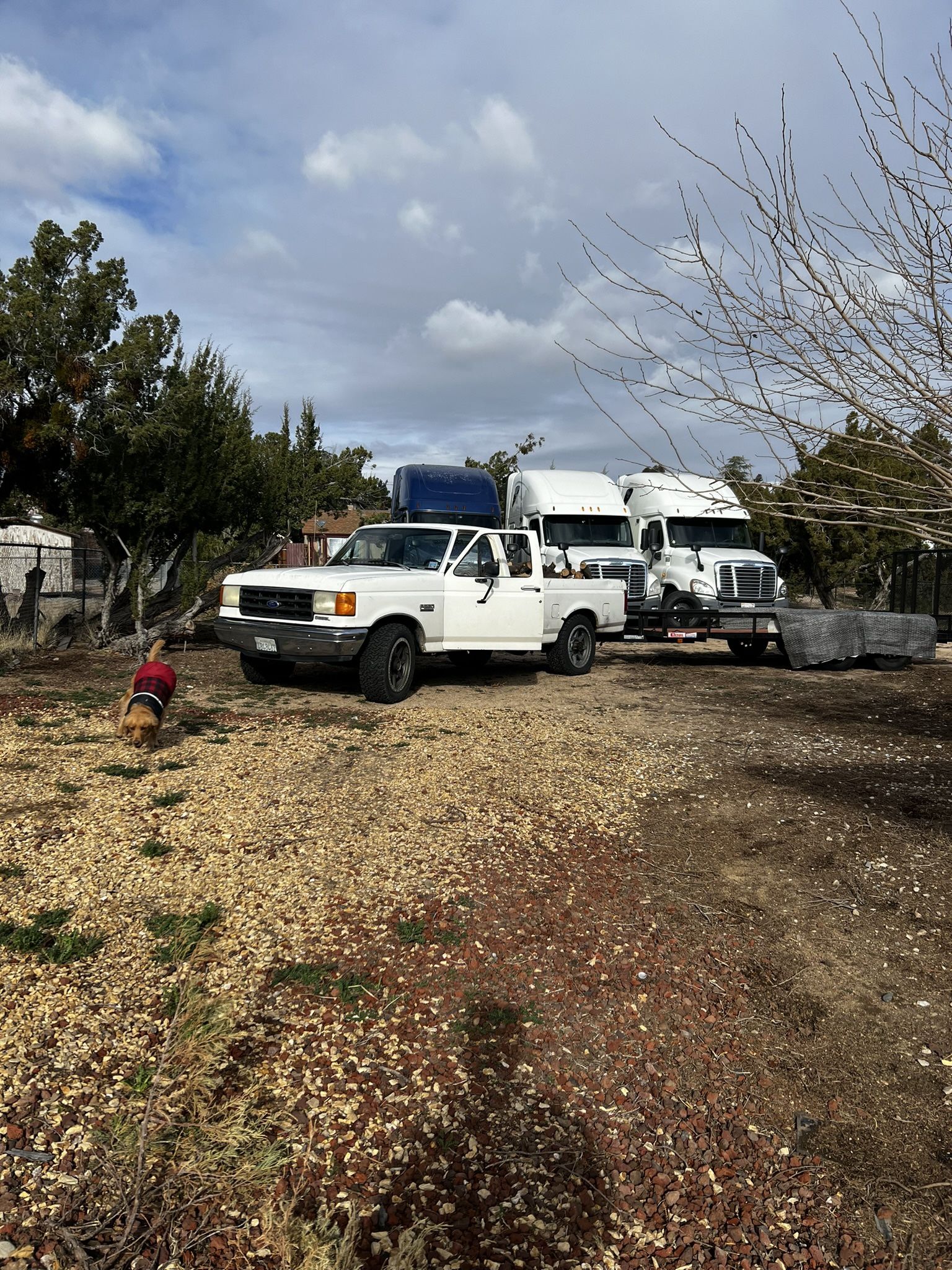 Ford F250