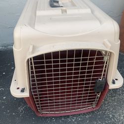 Pet Carrier cage plastic Petmate / Medium  27 W x 20 D x 21 H 