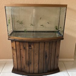 Fish Tank