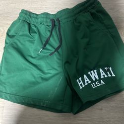 Green Hawaii Shorts Size Medium
