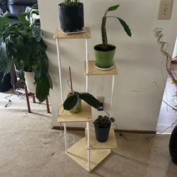 Plant stand with plants