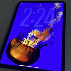 📱✨ iPad Pro 11” (M4) – 512GB | Excellent Condition | Poco uso | Warranty 2026