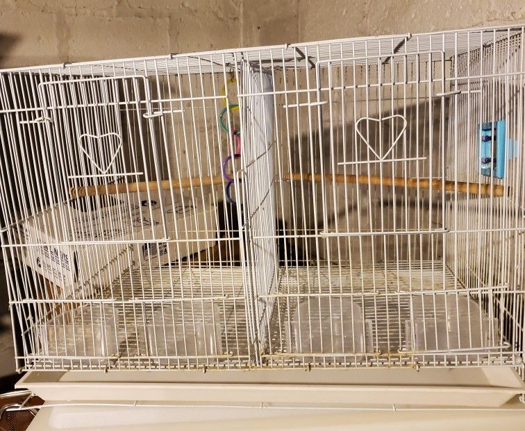 Birds Cage