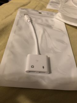 2 in 1 iPhone Adapter