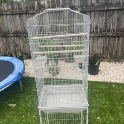 Bird Cage