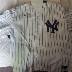 Yankees Xl