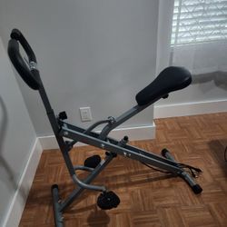 SUNNY HEALTH & FITNESS, ROW-N-RIDE SQUAT 