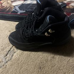 Jordan 12s