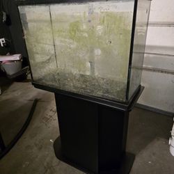 37 Gallon Aquarium 