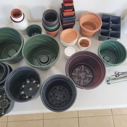 TONS Of Gardening And Houseplant Items