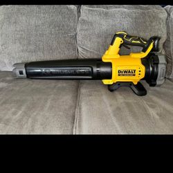 Dewalt 20v xr blower tool Only 