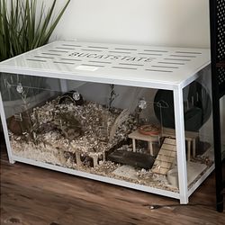 Hámster enclosure