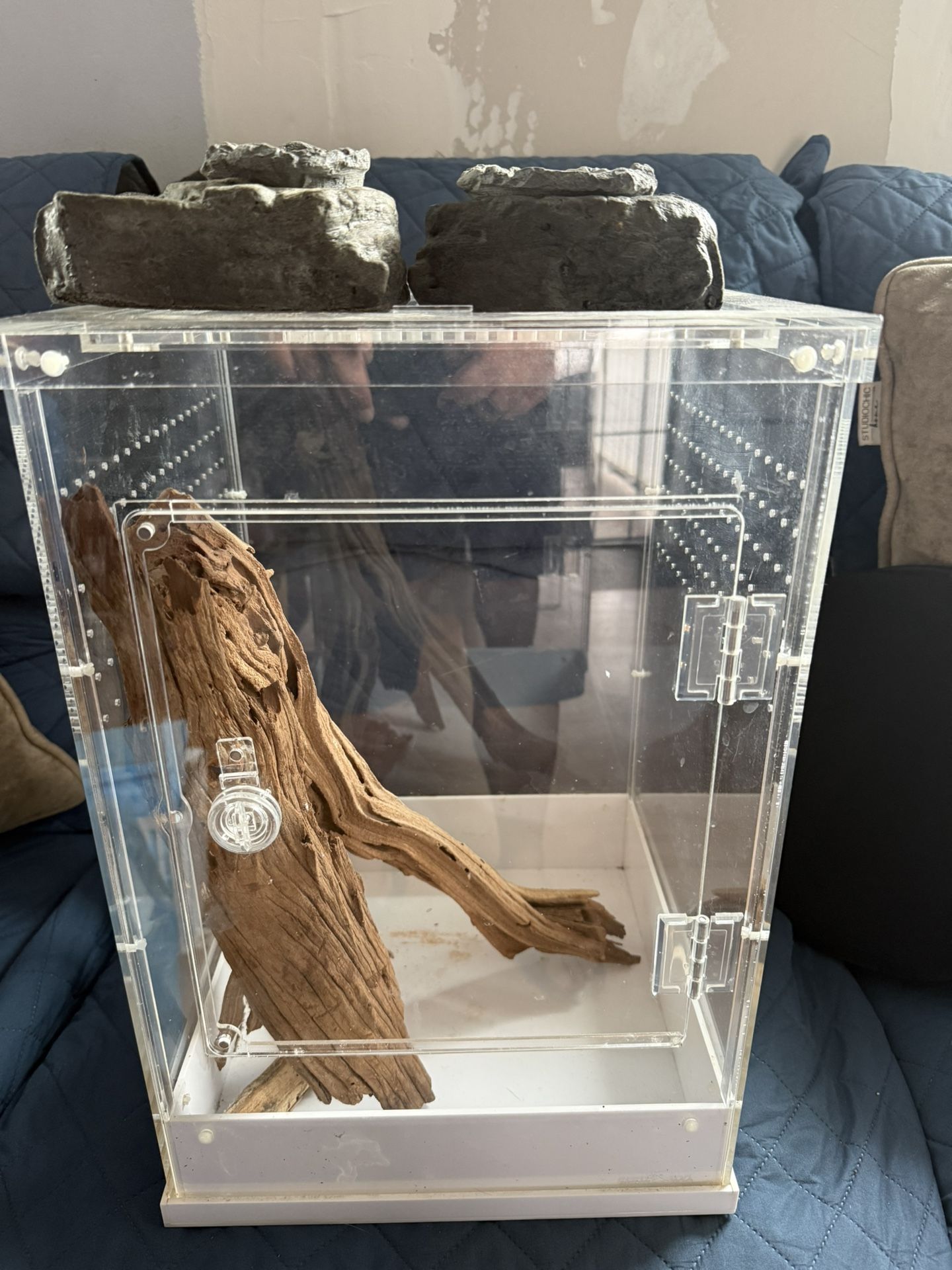Crested Gecko Acrylic Tank – Includes Reptile Tree + Feeding Trays + Greens