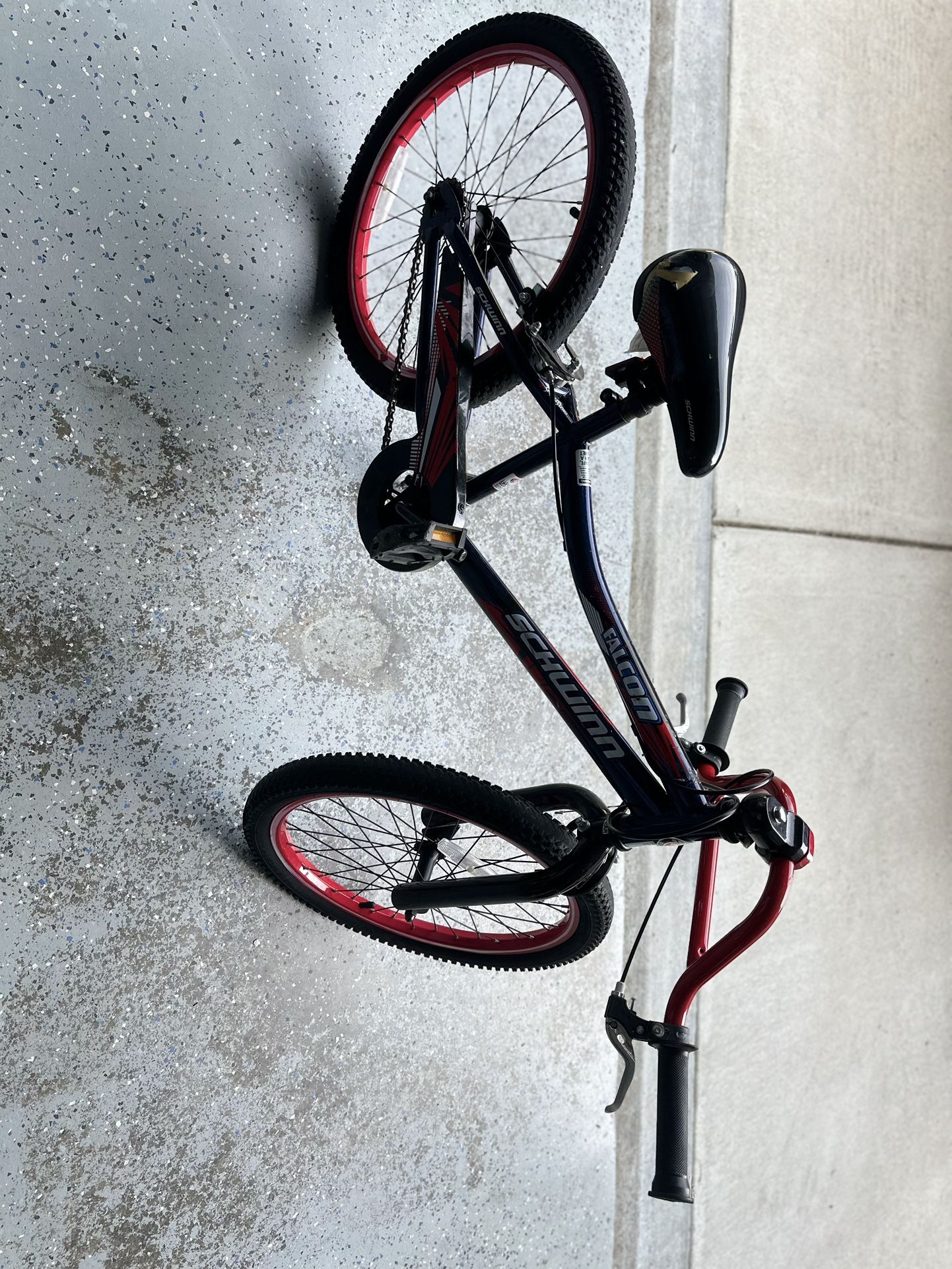 20 Inch Schwinn Bike