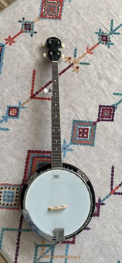 Display banjo with bag